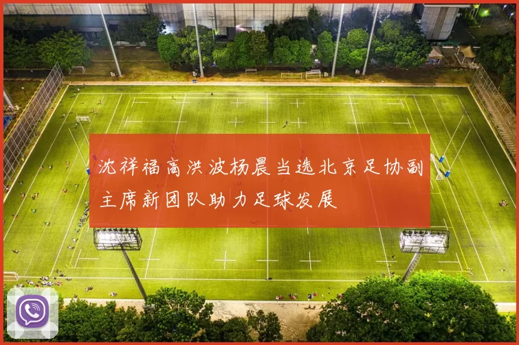 沈祥福高洪波杨晨当选北京足协副主席新团队助力足球发展